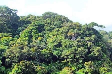 Cerita Mistis di Sekitar Kawasan Taman Nasional Ujung Kulon