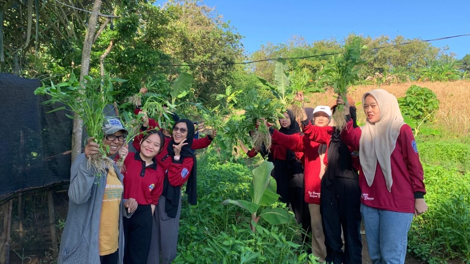 KKM Kelompok 43 Universitas Bina Bangsa dan Warga Kampung Bunar, Desa Tanjungjaya Wujudkan Kemandirian Pangan Melalui Panen Kangkung