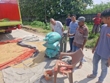 Dukung Swasembada, Bulog Lebak dan Pandeglang Jembut Bola Serap Gabah Petani