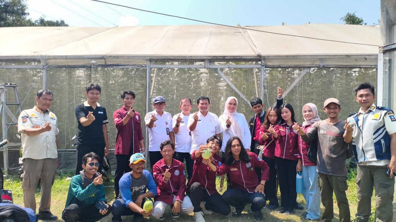 BUMDes Desa Margasana Kembangkan Budidaya Melon, Mahasiswa KKM 55 UNIBA Perkuat Promosi UMKM