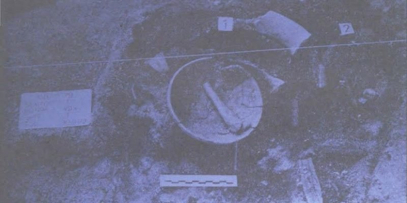 517985589_23943336438681335_2151804854809024766_n